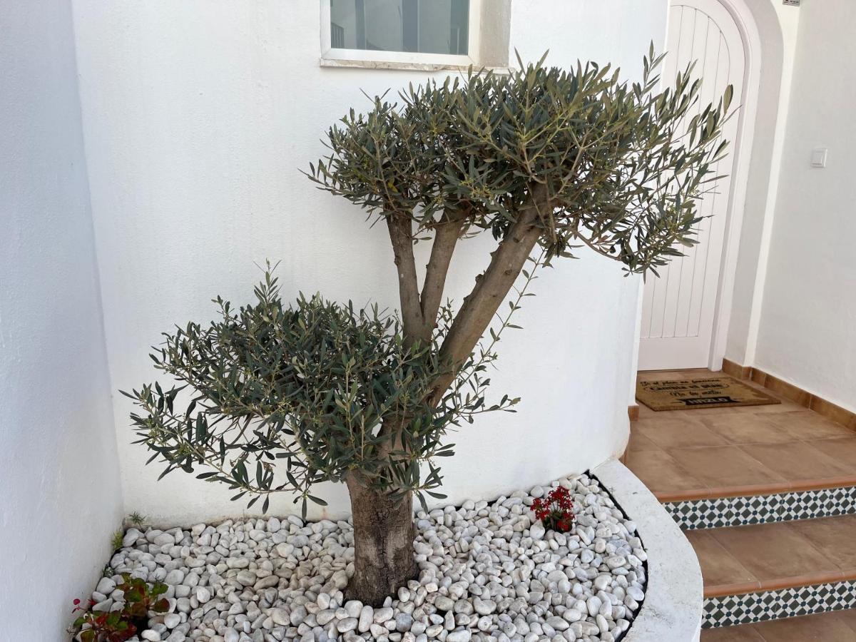 Almuñécar Casa Del Olivoヴィラ エクステリア 写真